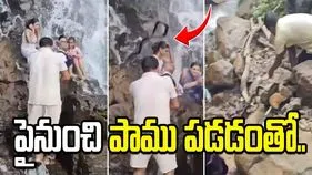 పర్యాటకులపై పడిన పాము.. ఆ తర్వాత ఏం జరిగిందంటే.. షాకింగ్ వీడియో