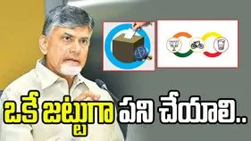 స్థానిక ఎన్నికల్లో కూటమి నేతలు ఒకే జట్టుగా పనిచేయాలి.. సీఎం చంద్రబాబు పిలుపు