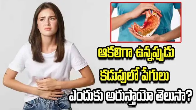 ఆకలిగా ఉన్నప్పుడు కడుపులో పేగులు ఎందుకు అరుస్తాయో తెలుసా? 