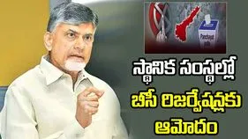 ఏపీలో బీసీ రిజర్వేషన్ల అమలుకు కేబినెట్ గ్రీన్‌సిగ్నల్