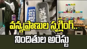 తిరుచ్చి ఎయిర్‌పోర్టులో వన్యప్రాణుల రవాణా ప్రయత్నం భగ్నం