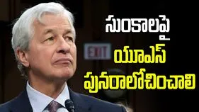 భారత్‌కు శిక్ష వద్దు.. అమెరికాకు జేపీ మోర్గన్ ఛేజ్ సీఈఓ సూచన