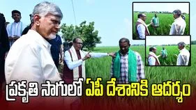 ప్రకృతి సాగులో ఏపీ నంబర్‌ వన్.. సీఎం చంద్రబాబుకు శివరాజ్‌సింగ్ చౌహాన్ ప్రశంసలు
