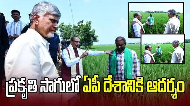 ప్రకృతి సాగులో ఏపీ నంబర్‌ వన్.. సీఎం చంద్రబాబుకు శివరాజ్‌సింగ్ చౌహాన్ ప్రశంసలు
