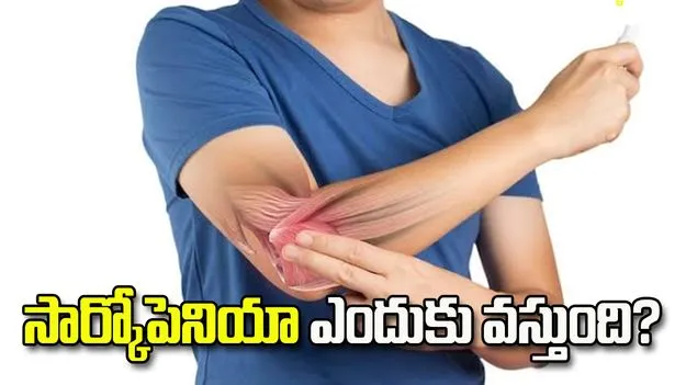 వయసు పెరిగే కొద్దీ కండరాలు బలహీనపడుతున్నాయా? ఇది తెలుసుకోండి