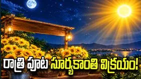 రాత్రి పూట సూర్యకాంతి విక్రయం..!