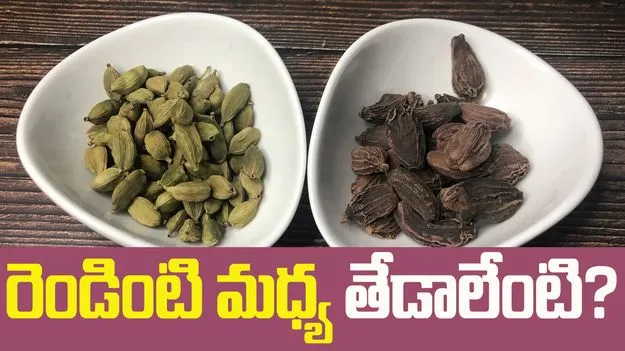 నల్ల యాలకులు Vs పచ్చ యాలకులు.. రెండింటి మధ్య తేడాలేంటో తెలుసా?