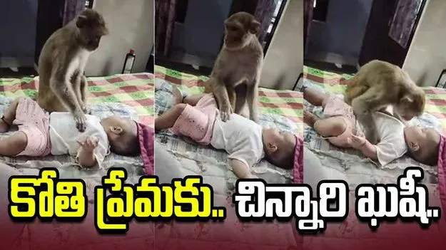 చిన్నారిని కోతి ఎలా ఆడించిందో చూశారా?.. వీడియో వైరల్ 