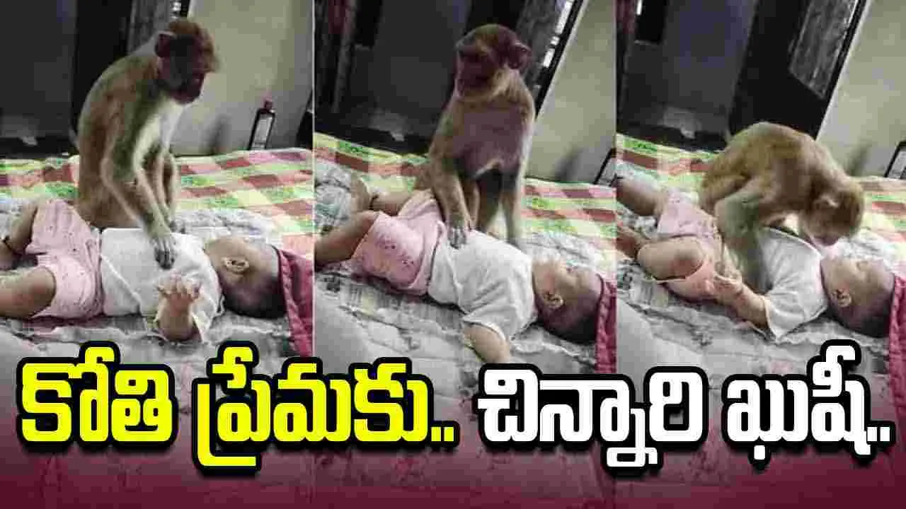 చిన్నారిని కోతి ఎలా ఆడించిందో చూశారా?.. వీడియో వైరల్ 