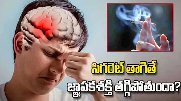 సిగరెట్ తాగితే జ్ఞాపకశక్తి తగ్గిపోతుందా?