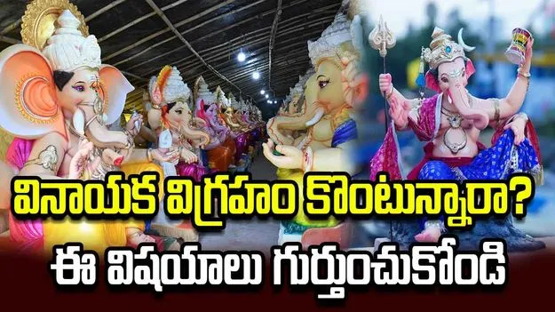 వినాయక విగ్రహం కొంటున్నారా? ఈ విషయాలు గుర్తుంచుకోండి