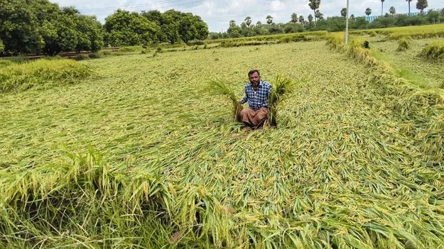 ఈదురు గాలులు.. భారీ వర్షం