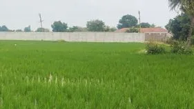 జగదీశ్‌రెడ్డికి వందల కోట్ల ఆస్తులు 