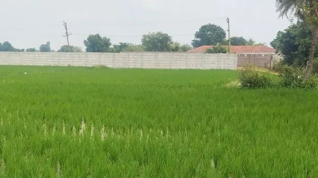 జగదీశ్‌రెడ్డికి వందల కోట్ల ఆస్తులు 