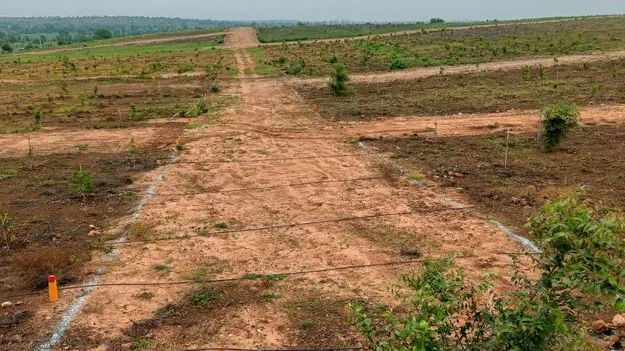 రియల్‌ వెర్రి..!