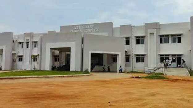 అక్కడ విద్యార్థులే వైద్యులు!