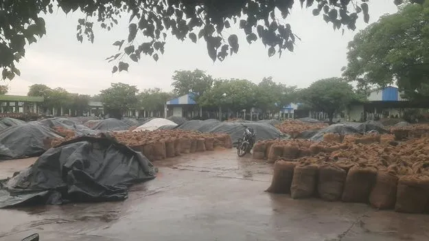 ఎండకు గలగల.. వానకు వలవల