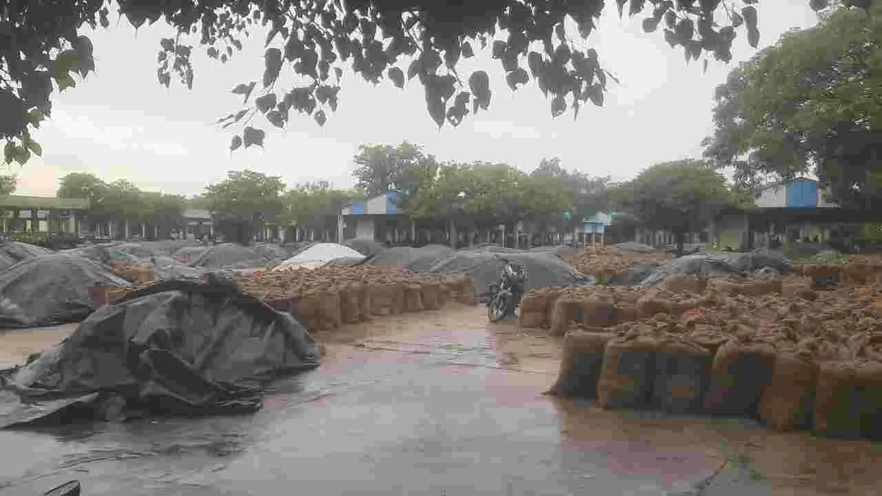 Photo from Andhra Jyothy's story