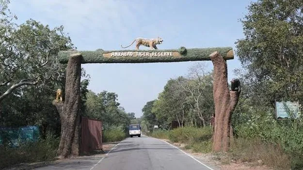 నల్లమలలో జంగల్‌ సఫారీ పునఃప్రారంభం 