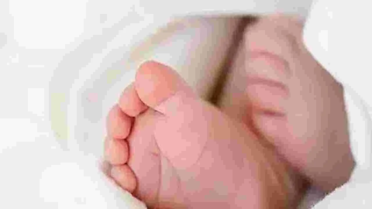 పాముకాటుకు ఆరు నెలల పసికందు బలి