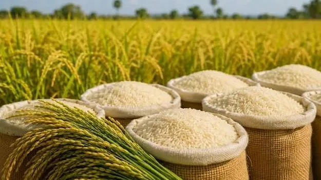 విదేశాలకూ సన్నబియ్యం ఎగుమతులు