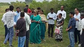 ఎర్రవల్లిలో కొనసాగిన సర్వే 