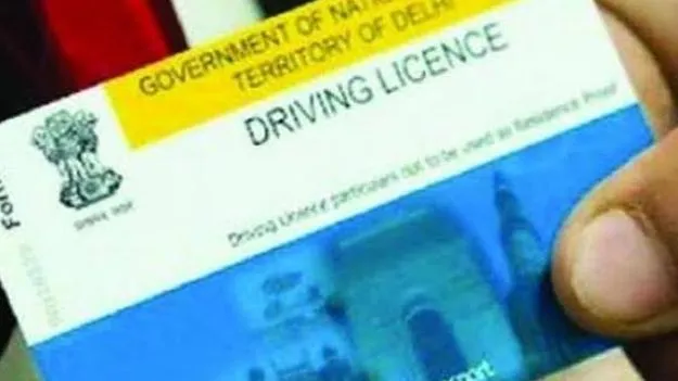 మీ-సేవలోడ్రైవింగ్‌ లైసెన్సు వీడియో!