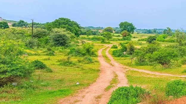 అధికార, ప్రతిపక్ష నేతల భూఆరోపణలపై విచారణ జరిపించండి