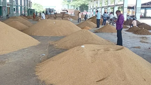 ఎల్‌నినో ఎఫెక్ట్‌ ‘జై శ్రీరాం’ రకం ధర ‘ఆల్‌టైం’ రికార్డు