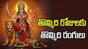 శరన్నవరాత్రుల్లో తొమ్మిది రోజులకు తొమ్మిది రంగులు