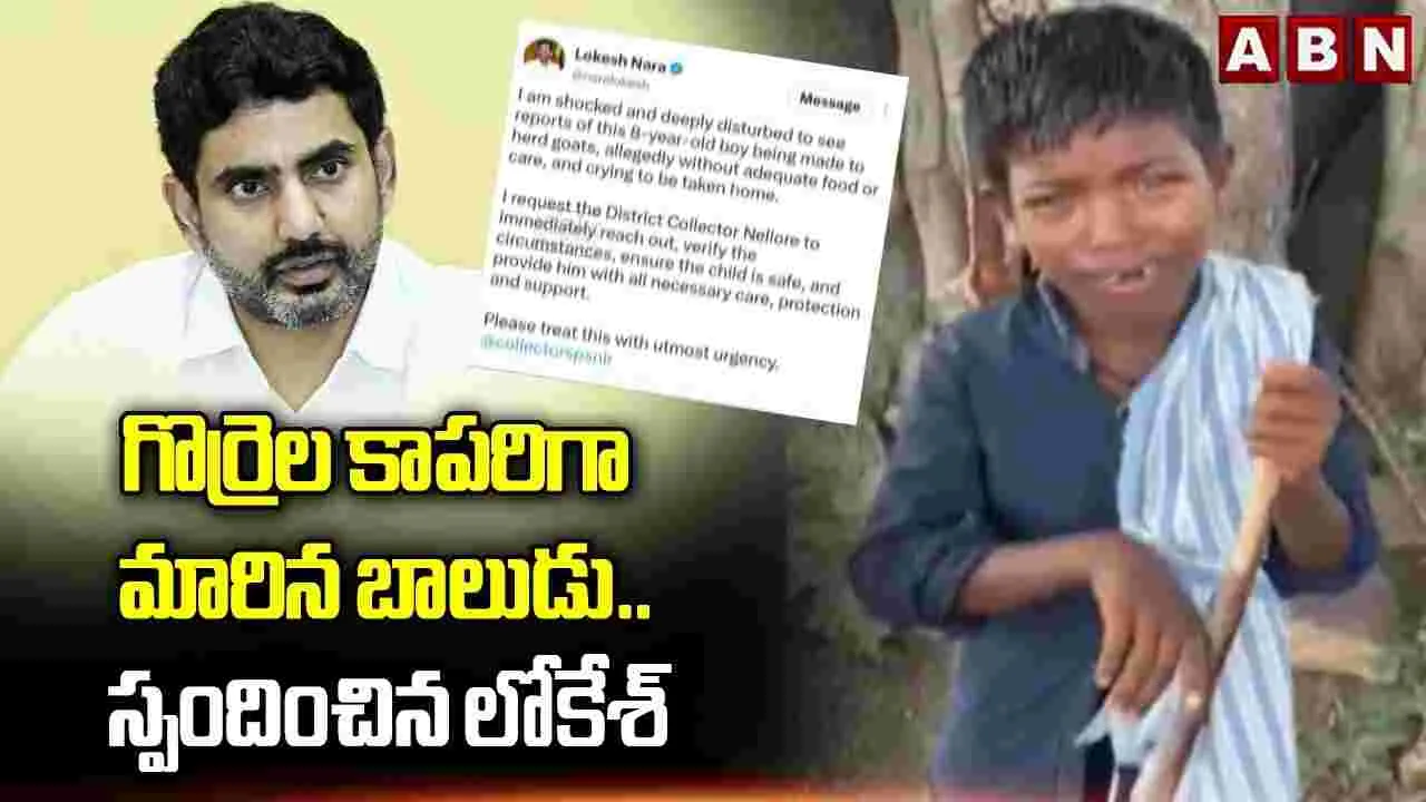 గొర్రెల కాపరిగా మారిన బాలుడు.. స్పందించిన లోకేశ్
