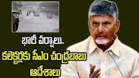 వరదలను ఎప్పటికప్పుడు అంచనా వేస్తూ.. జాగ్రత్తలు తీసుకోండి: కలెక్టర్లతో సీఎం చంద్రబాబు