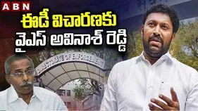 వివేకా హత్య కేసు.. ఈడీ విచారణకు హాజరైన ఎంపీ అవినాశ్ రెడ్డి
