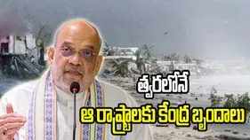 ఆర్నబ్ తుఫాన్‌పై అమిత్ షా సమీక్ష.. త్వరలోనే బాధిత రాష్ట్రాలకు కేంద్ర బృందాలు