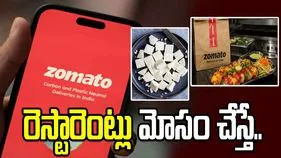 జొమాటోలో ఇక అనలాగ్ పనీర్‌కు నో.. కానీ రెస్టారెంట్లు మోసం చేస్తే గుర్తించేదెలా..