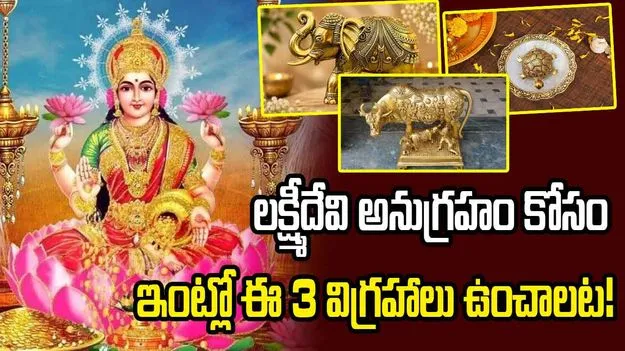 లక్ష్మీదేవి అనుగ్రహం కోసం ఇంట్లో ఈ 3 విగ్రహాలు ఉంచాలట!