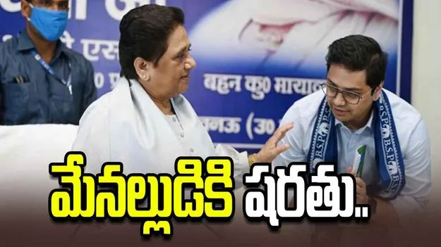 బీఎస్పీలో మళ్లీ కీలక బాధ్యతలు దక్కాలంటే.. మేనల్లుడికి మాయావతి పెట్టిన షరతు ఇదే.. 