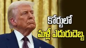 జన్మతః పౌరసత్వంపై పరిమితులు.. ట్రంప్‌ ప్రయత్నాలకు మళ్లీ చెక్ పెట్టిన కోర్టు