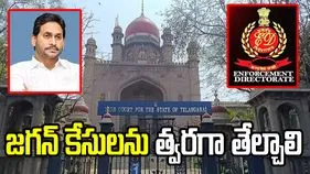 జగన్ అక్రమాస్తుల కేసుల్లో వేగం పెంచాలి.. తెలంగాణ హై కోర్టులో ఈడీ పిటిషన్