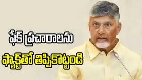 గొడ్డలి పార్టీ దుష్ప్రచారాన్ని ఎట్టి పరిస్థితుల్లోనూ ఊపేక్షించొద్దు:  సీఎం చంద్రబాబు