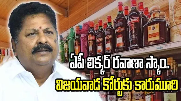 ఏపీ లిక్కర్ రవాణా స్కాం.. పీటీ వారెంట్‌పై విజయవాడ కోర్టుకు కారుమూరి