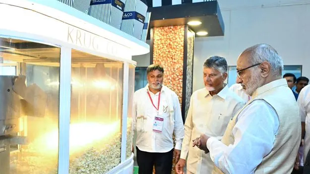 ఆంధ్రా పాప్‌కార్న్‌