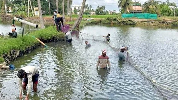 ‘చేపల చెరువుల’పై ఏం చేద్దాం?