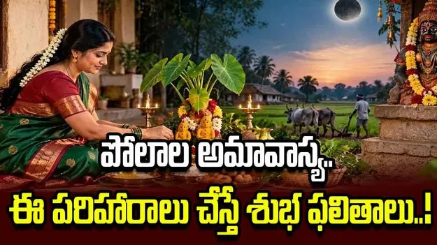 పోలాల అమావాస్య.. చివరి శ్రావణ శుక్రవారం.. ఏ రాశి వారు ఏ పరిహారం చేయాలంటే?