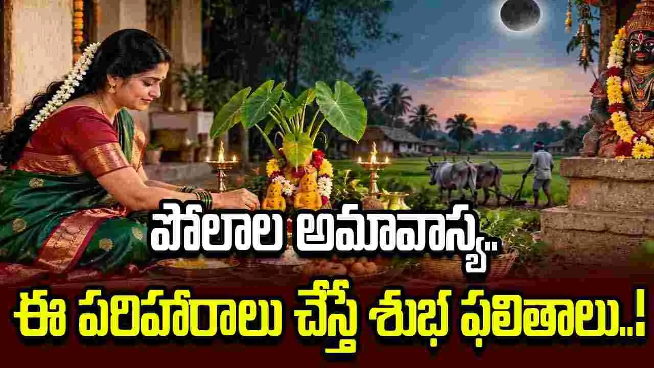 పోలాల అమావాస్య.. చివరి శ్రావణ శుక్రవారం.. ఏ రాశి వారు ఏ పరిహారం చేయాలంటే?