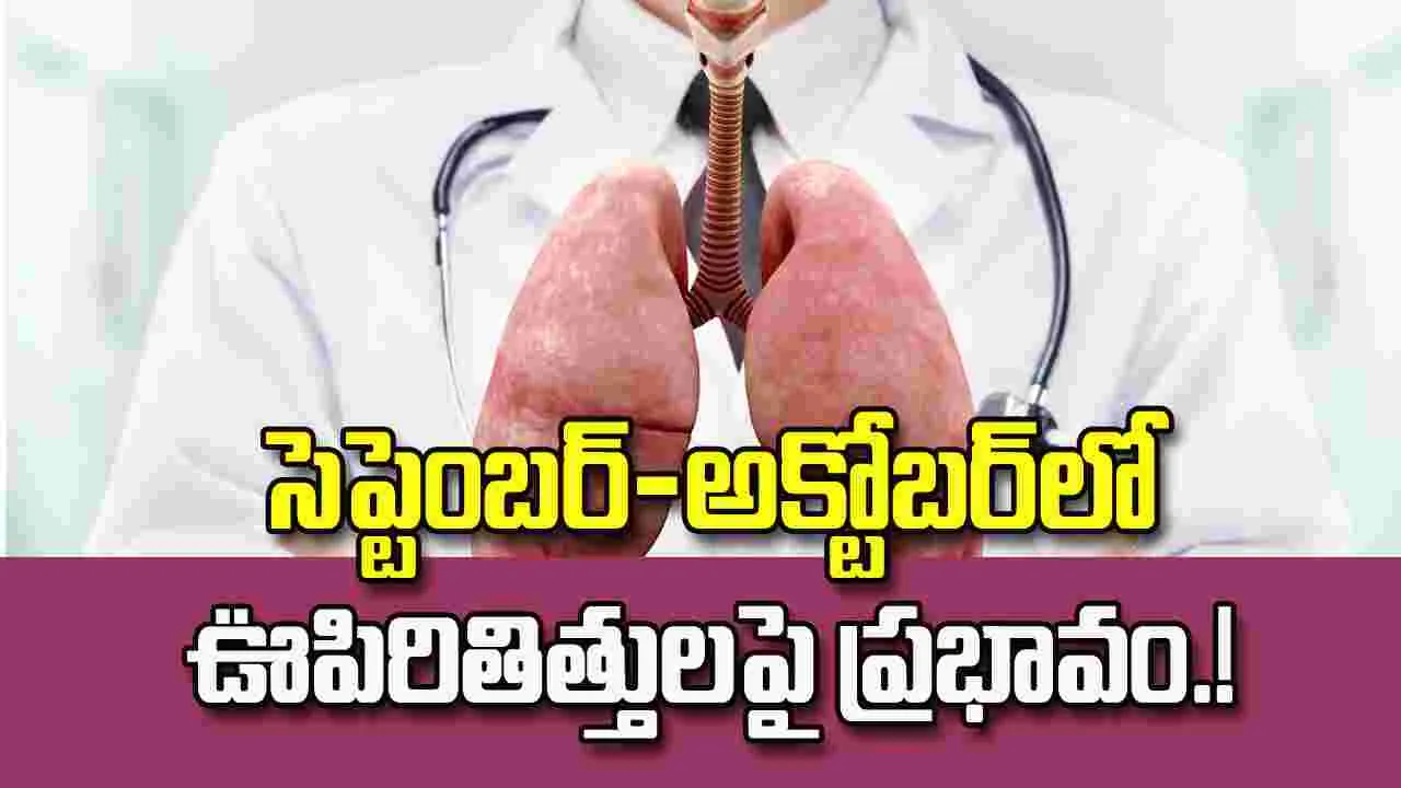 సెప్టెంబర్-అక్టోబర్లో ఊపిరితిత్తులపై ప్రభావం.. ఈ జాగ్రత్తలు తప్పనిసరి! సెప్టెంబర్-అక్టోబర్లో ఊపిరితిత్తులపై ప్రభావం.. ఈ జాగ్రత్తలు తప్పనిసరి!