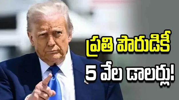 మమల్ని గెలిపిస్తే వయోజన పౌరులకు 5 వేల డాలర్ల చొప్పున ఇస్తాం: ట్రంప్