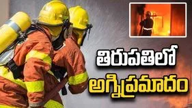 తిరుపతి శ్రీసిటీలో అగ్నిప్రమాదం.. మంటలను అదుపులోకి తెచ్చిన ఫైర్ సిబ్బంది