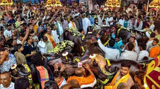 సదర్‌ ఉత్సవాలను విస్తరించాలి