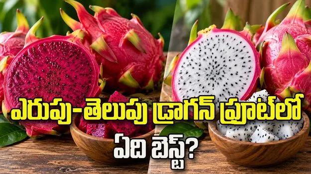 ఎరుపు-తెలుపు డ్రాగన్‌ ఫ్రూట్‌లో ఏది బెస్ట్‌?